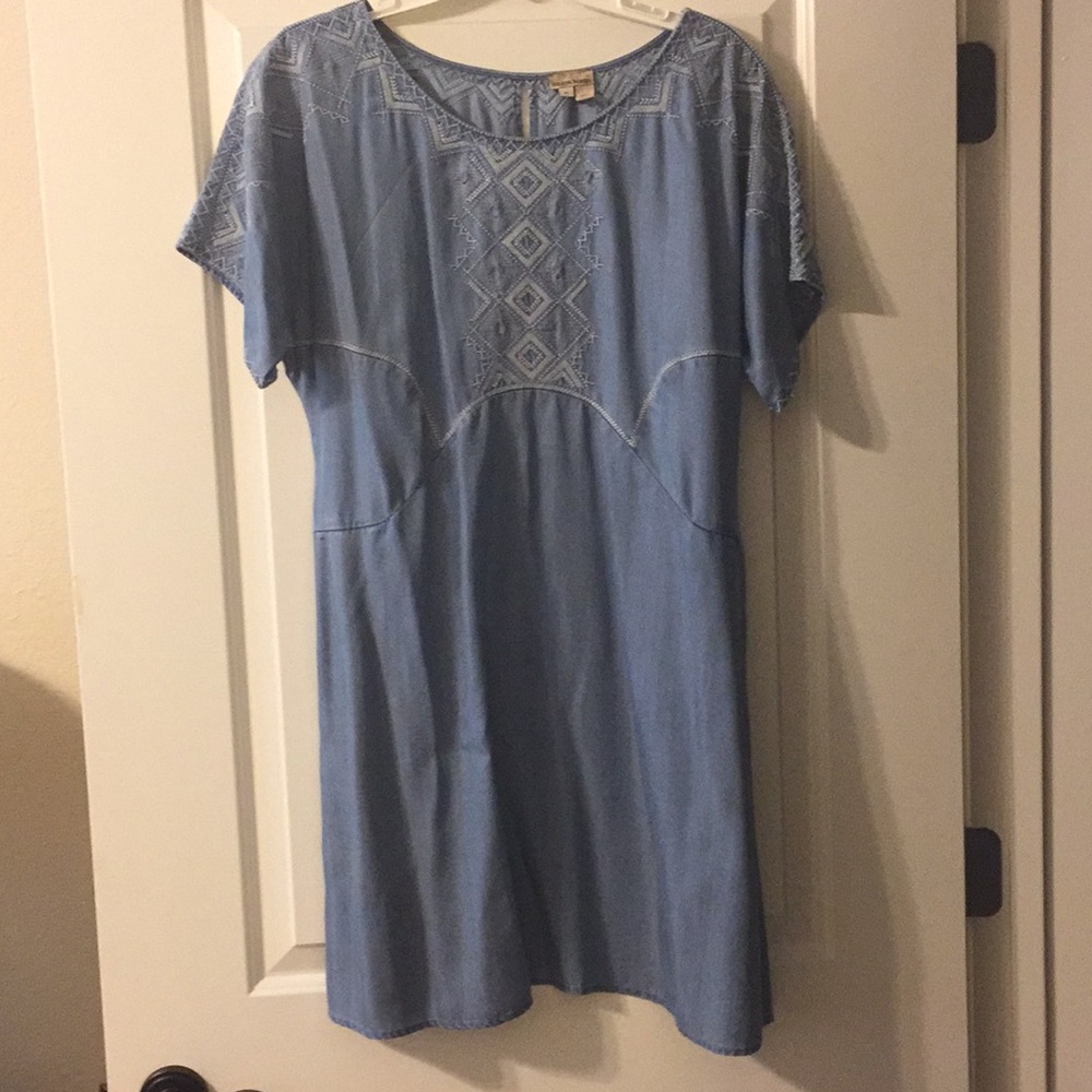 Chambray Dress